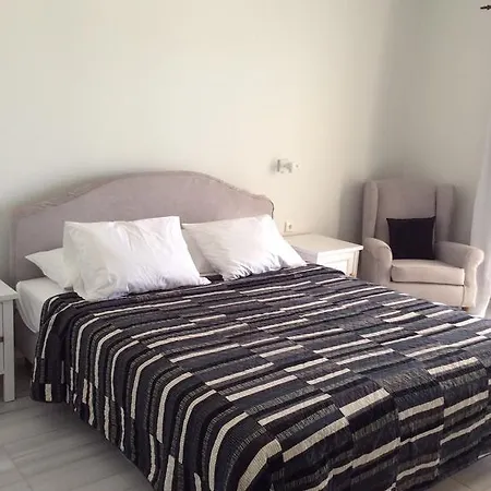 米科诺斯瑟琳酒店 *