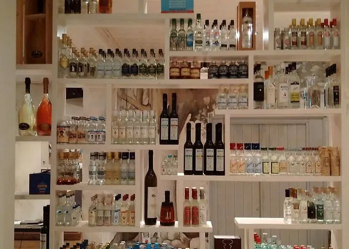 아파트 Sailinn Mykonos 오르노스